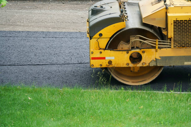 Best Driveway Crack Filling  in Donna, TX